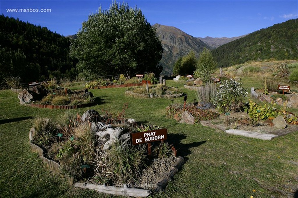 Vall de Sorteny
jardin botanico en el Parque Natural de la Vall de Sorteny
Andorra