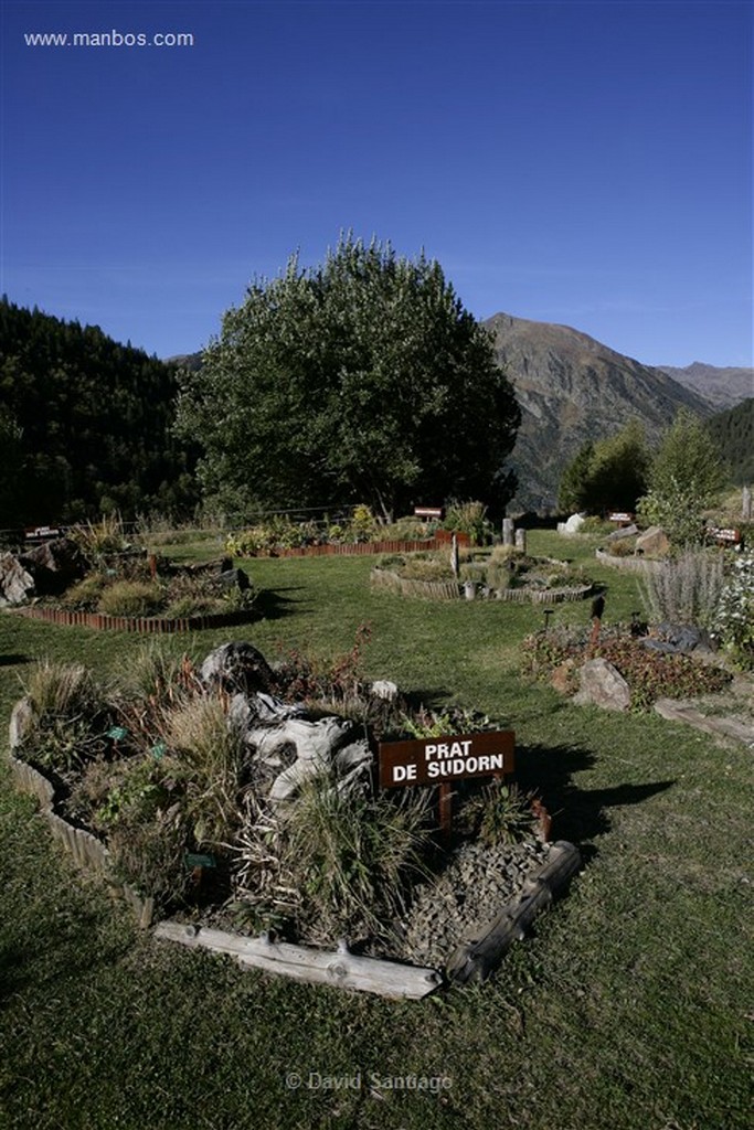 Vall de Sorteny
jardin botanico en el Parque Natural de la Vall de Sorteny
Andorra