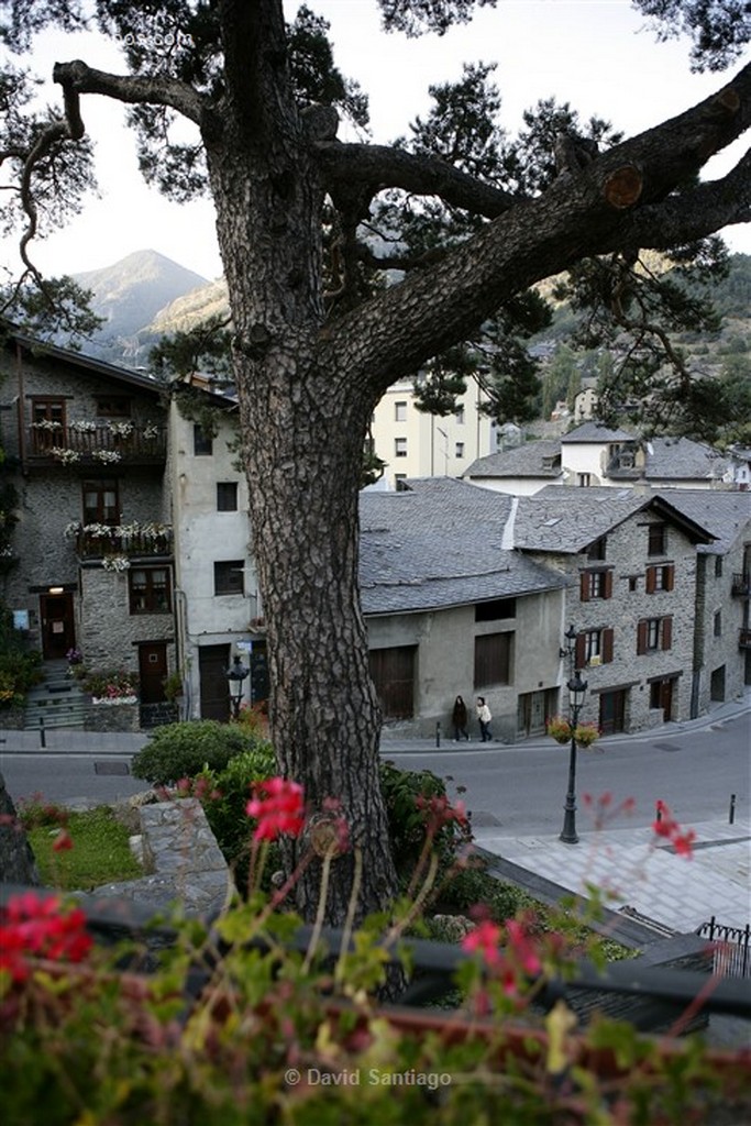 Vall de Sorteny
jardin botanico en el Parque Natural de la Vall de Sorteny
Andorra