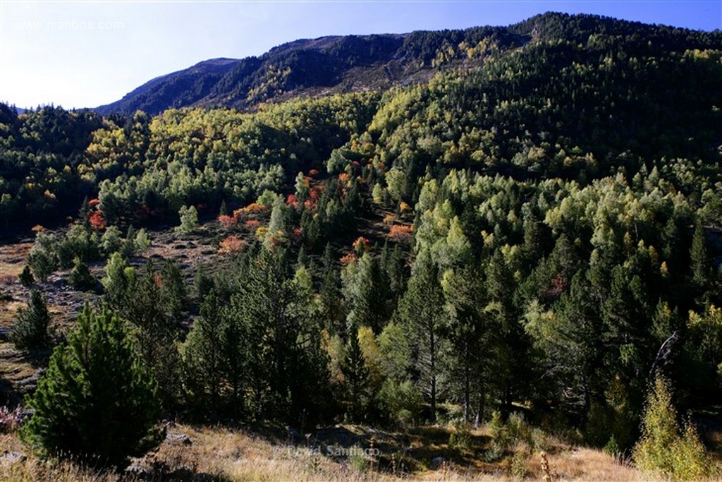 Andorra
Parque Natural de la Vall de Sorteny
Andorra