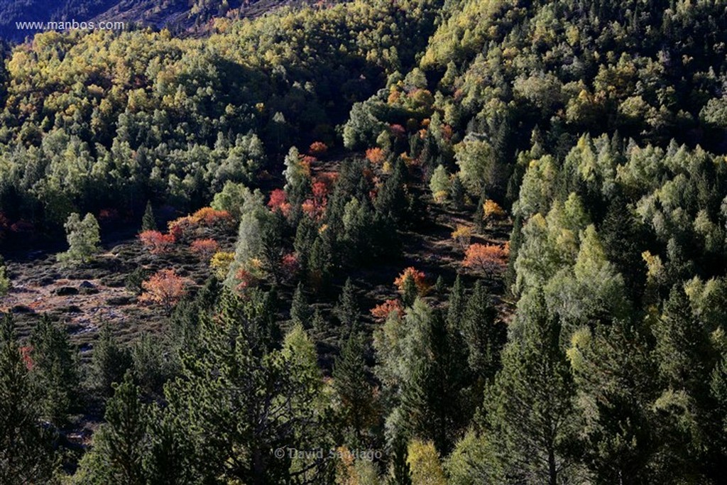 Andorra
Parque Natural de la Vall de Sorteny
Andorra