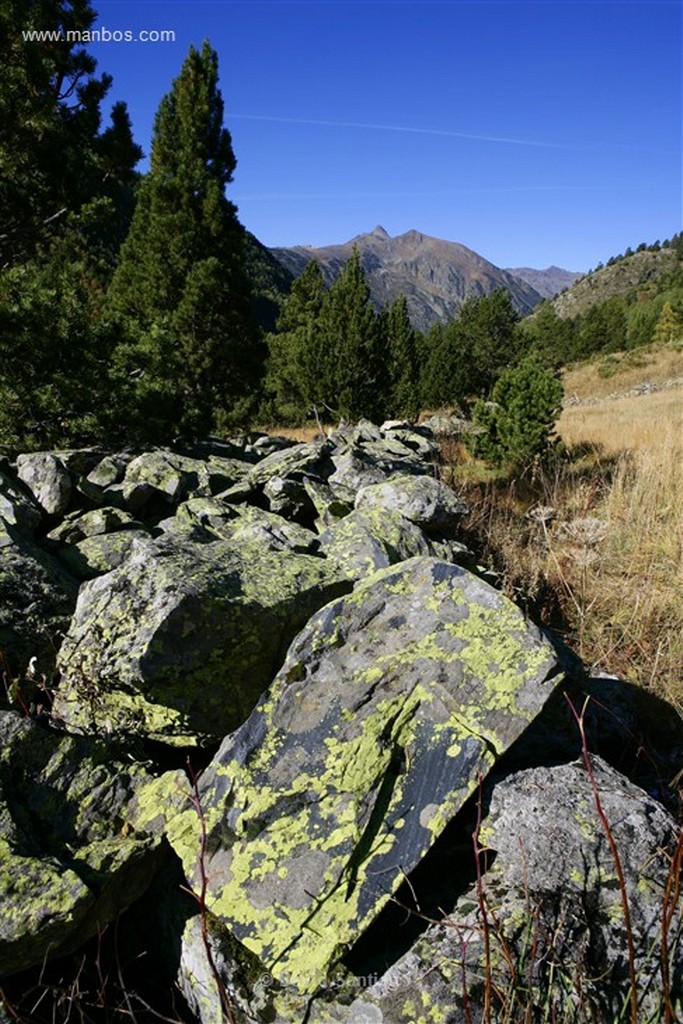 Andorra
Parque Natural de la Vall de Sorteny
Andorra