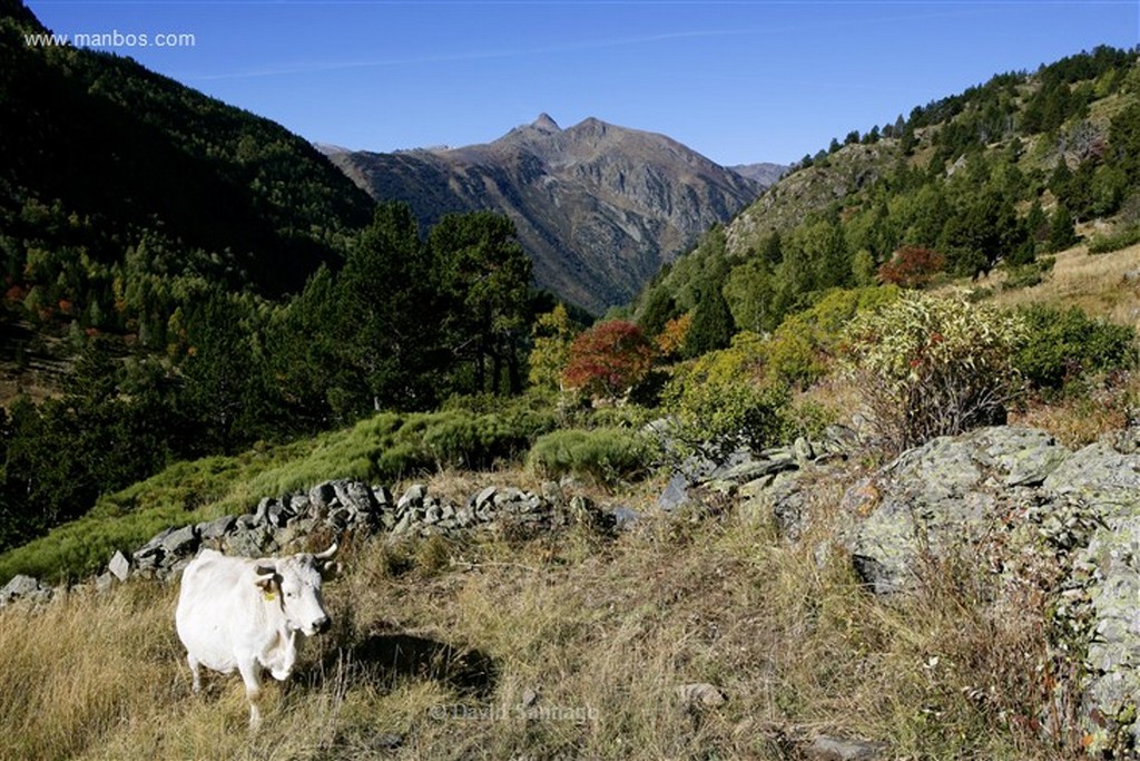 Andorra
Parque Natural de la Vall de Sorteny
Andorra