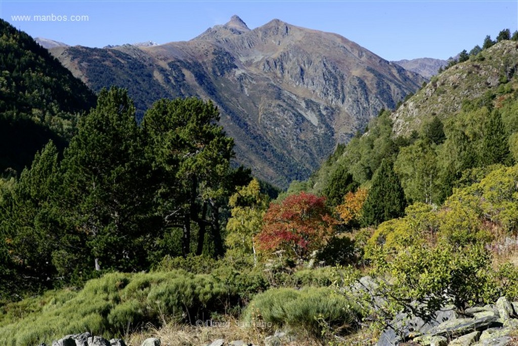 Andorra
Parque Natural de la Vall de Sorteny
Andorra