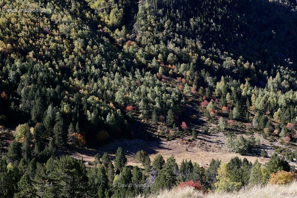 Andorra
Parque Natural de la Vall de Sorteny
Andorra