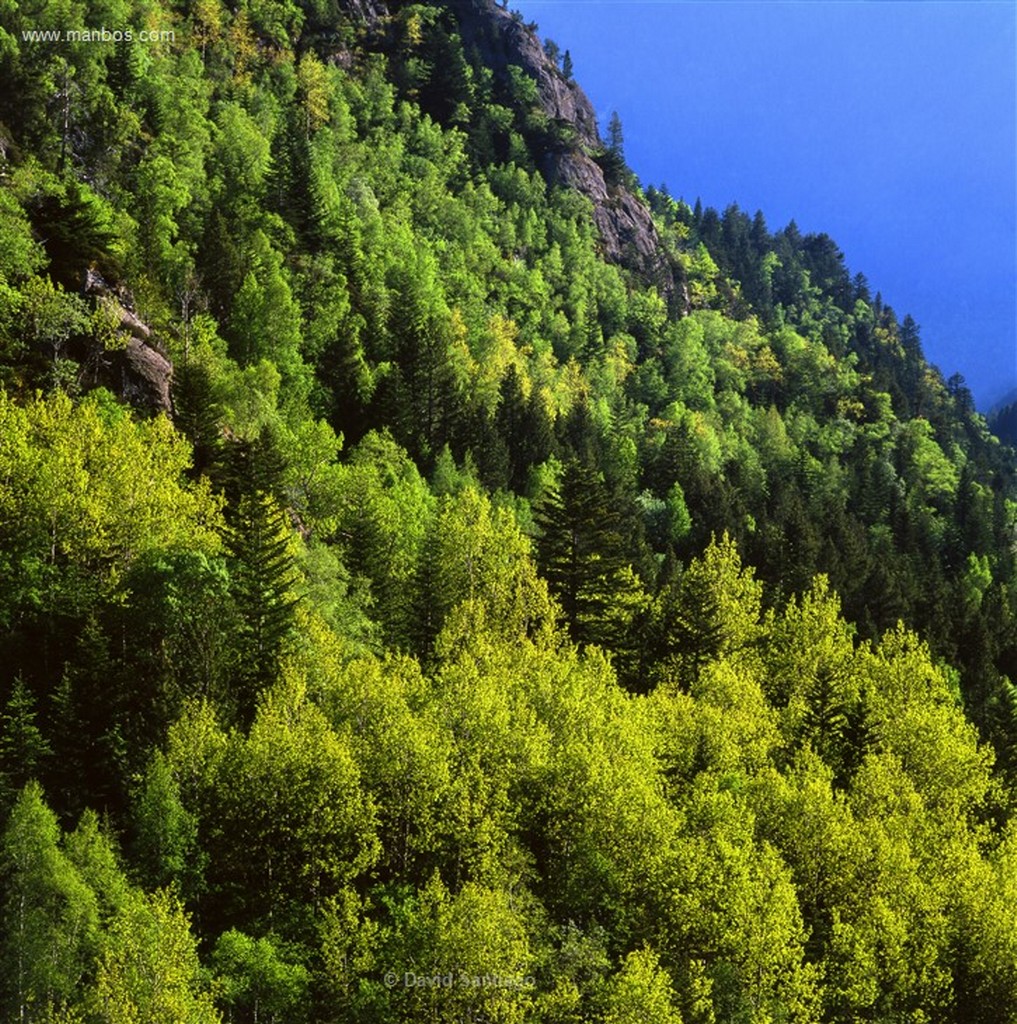 Andorra
Pic de la Pala de Jan
Andorra