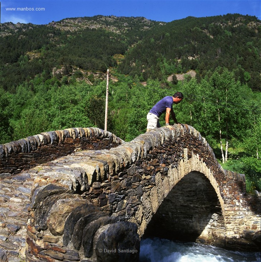 Andorra
Pic del Brossos poblado de hayas pinos y abetos
Andorra