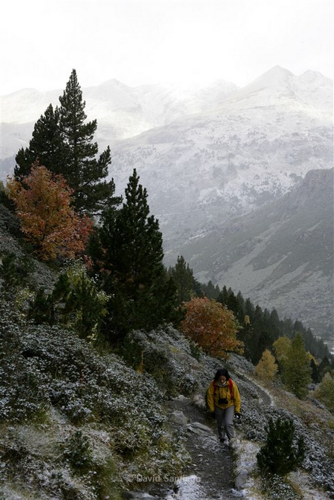 Valle de Incles
Valle d Incles
Andorra