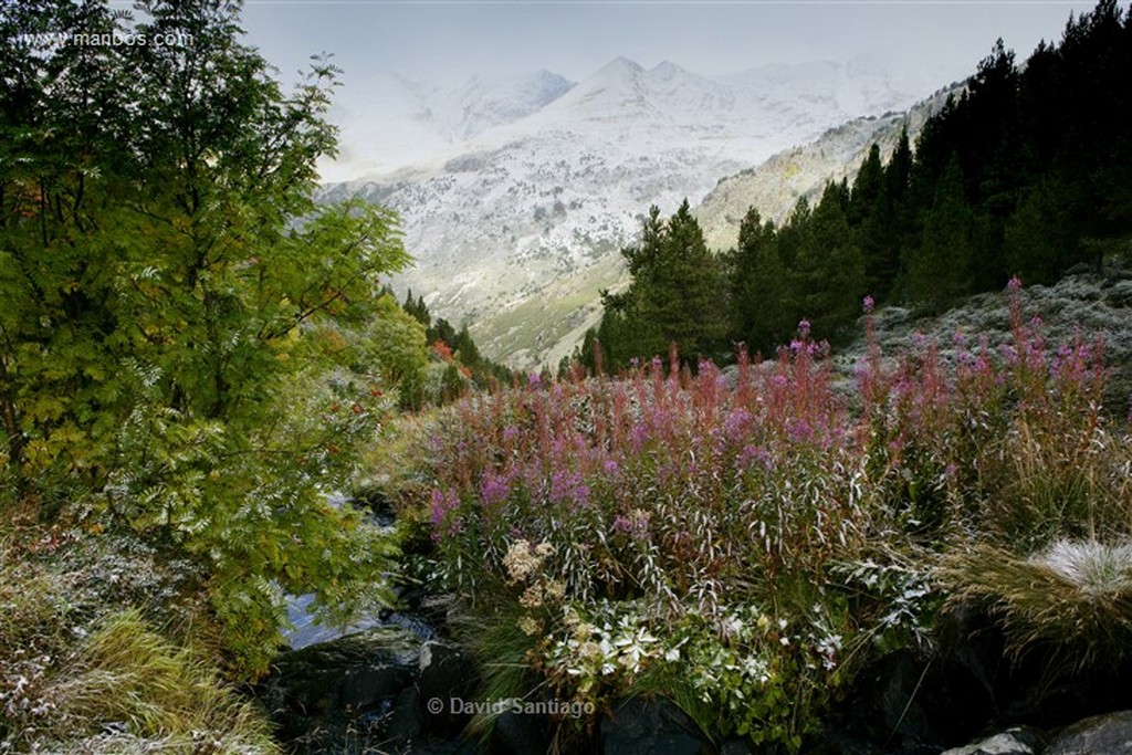 Valle de Incles
Valle d Incles
Andorra