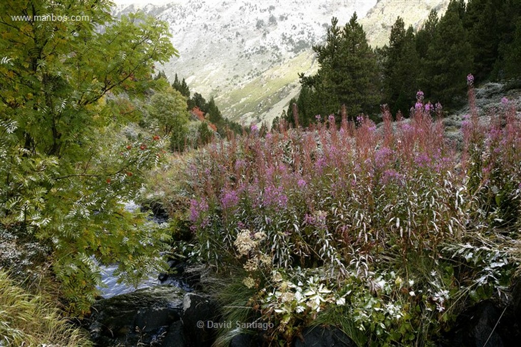 Valle de Incles
Valle d Incles
Andorra