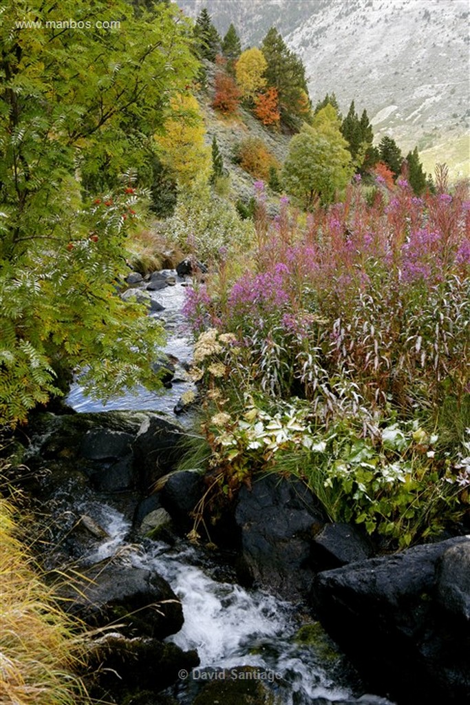 Valle de Incles
Valle d Incles
Andorra