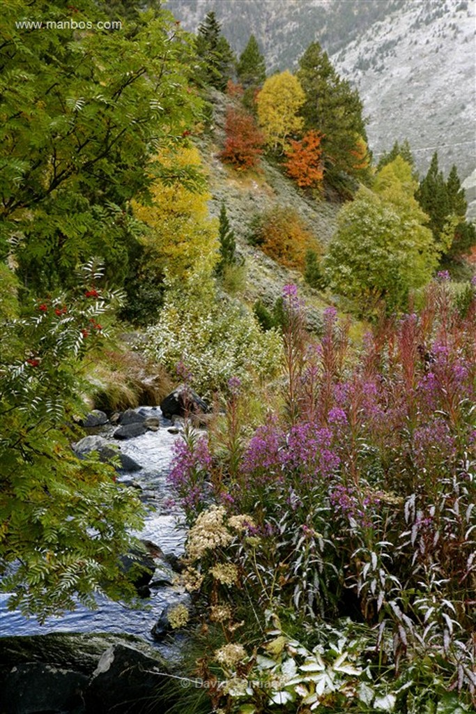 Valle de Incles
Valle d Incles
Andorra