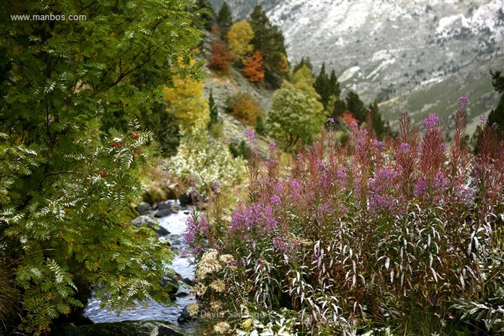 Valle de Incles
Valle d Incles
Andorra