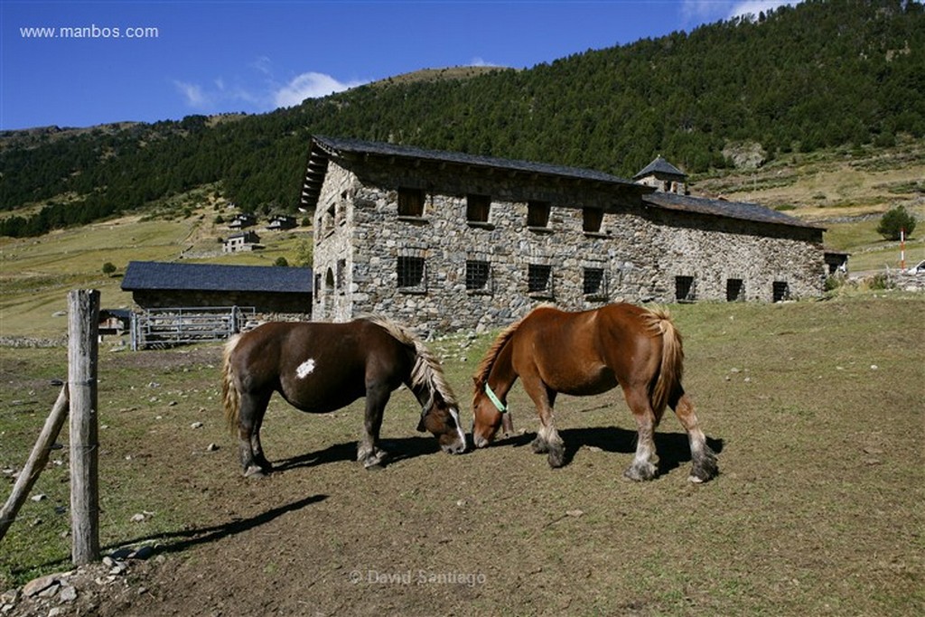 Valle de Incles
Valle d Incles
Andorra