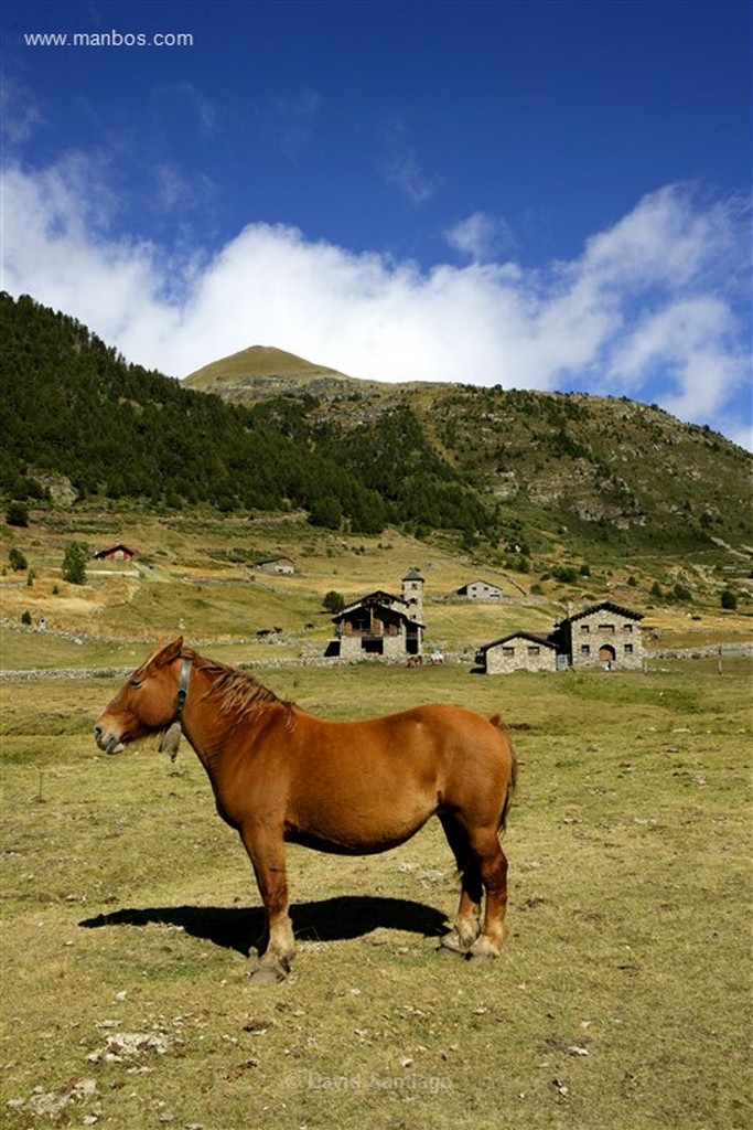 Valle de Incles
Valle d Incles
Andorra