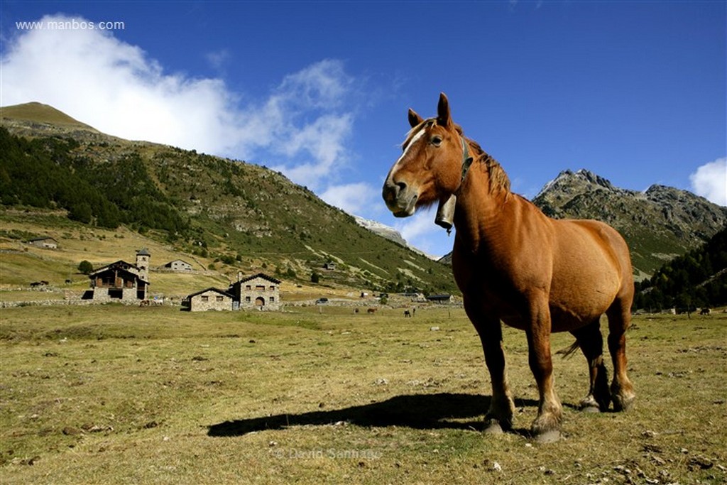 Valle de Incles
Valle d Incles
Andorra