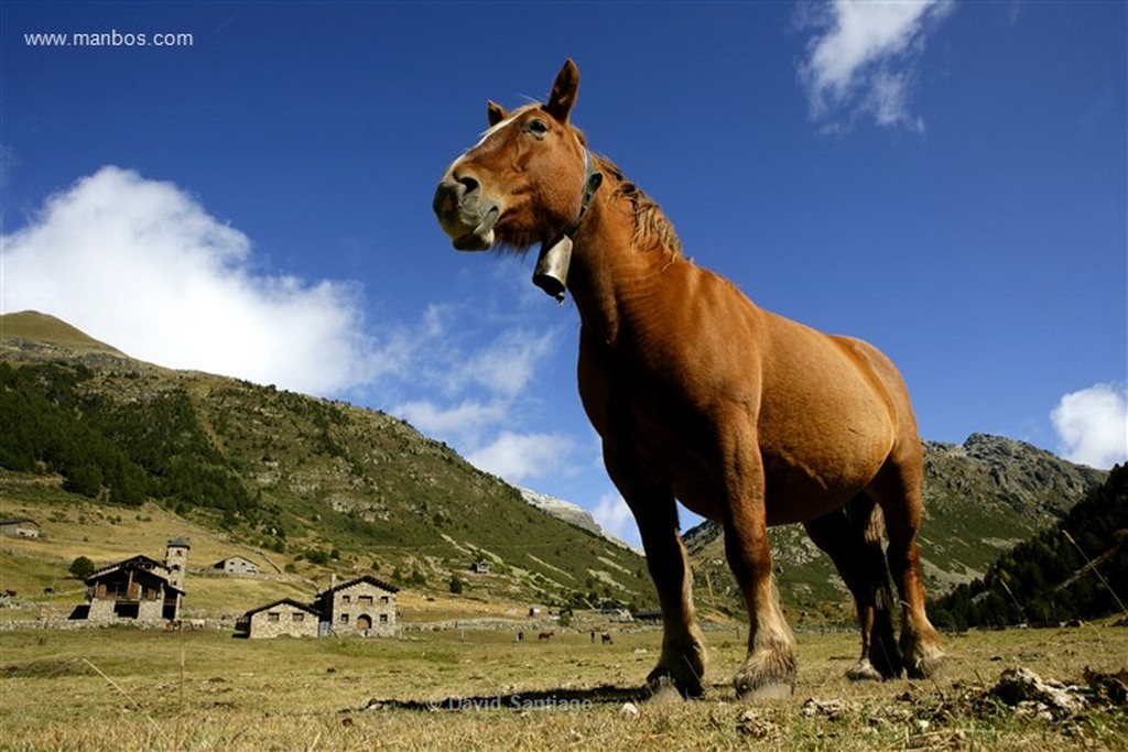 Valle de Incles
Valle d Incles
Andorra