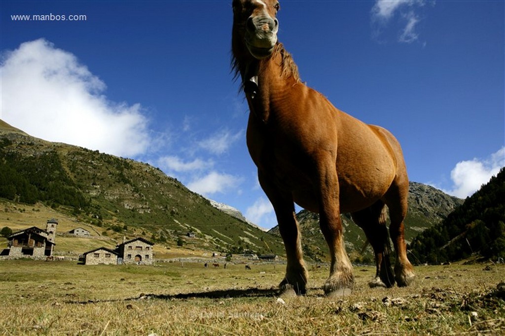 Valle de Incles
Valle d Incles
Andorra