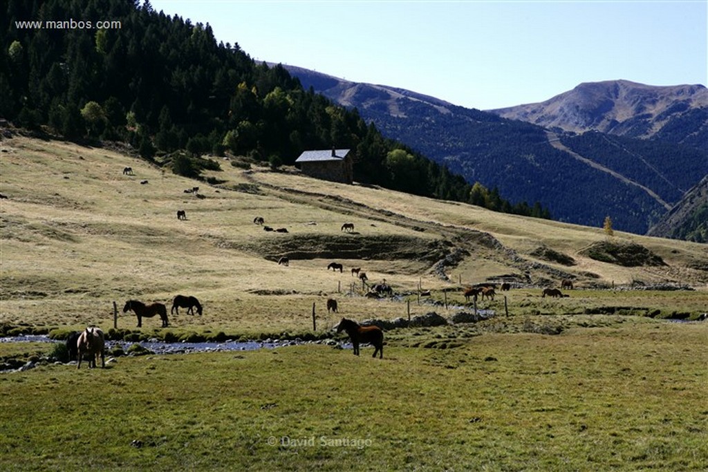 Valle de Incles
Valle d Incles
Andorra