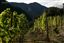 Andorra
Casa Beal vinos de alta montaña
Andorra