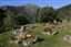 Vall de Sorteny
jardin botanico en el Parque Natural de la Vall de Sorteny
Andorra