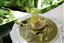 Andorra
Pasta con fou
Andorra