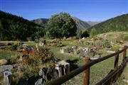 Camara Canon EOS-1Ds Mark II
jardin botanico en el Parque Natural de la Vall de Sorteny
Andorra
VALL DE SORTENY
Foto: 32289