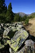 Camara Canon EOS-1Ds Mark II
Parque Natural de la Vall de Sorteny
Andorra
ANDORRA
Foto: 32185