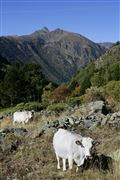 Andorra, Andorra, Andorra