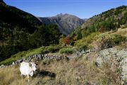 Andorra, Andorra, Andorra