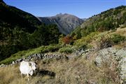 Andorra, Andorra, Andorra