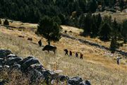 Camara Canon EOS-1Ds Mark II
Parque Natural de la Vall de Sorteny
Andorra
ANDORRA
Foto: 32210