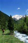 Camara 0
Riu de Tristaina y Serrat de Coma Obaga y de La Pleta Vella
Andorra
ANDORRA
Foto: 32094