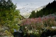 Camara Canon EOS-1Ds Mark II
Valle d Incles
Andorra
VALLE DE INCLES
Foto: 32153