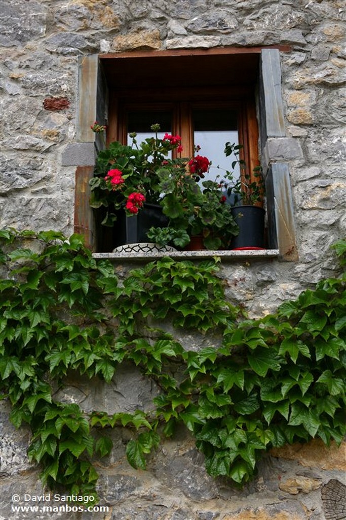 Riopaso
Riospaso - valle del Huerna - asturias
Asturias