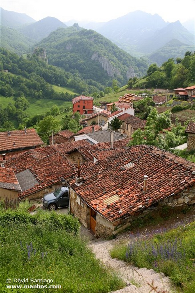 Riopaso
Riospaso - valle del Huerna - asturias
Asturias