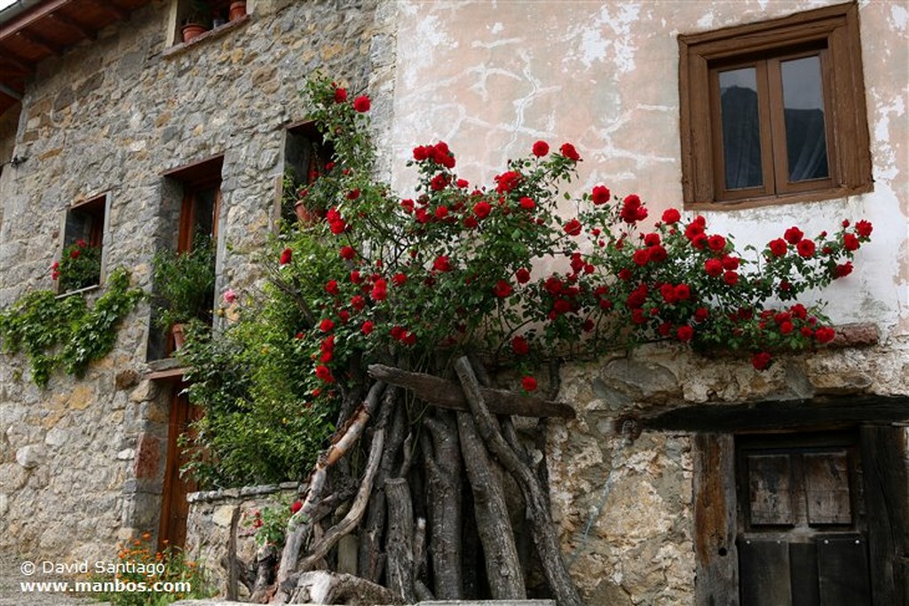 Riopaso
Riospaso - valle del Huerna - asturias
Asturias