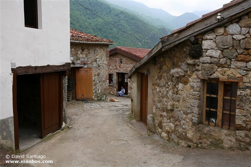 Valle del Huerna
Helecho
Asturias
