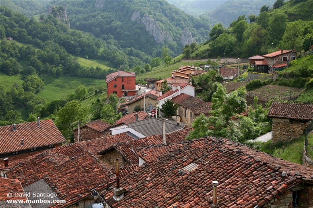 Riopaso
Riospaso - valle del Huerna - asturias
Asturias