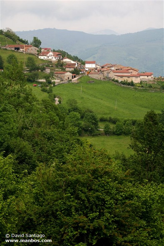 Riopaso
Riospaso - valle del Huerna - asturias
Asturias