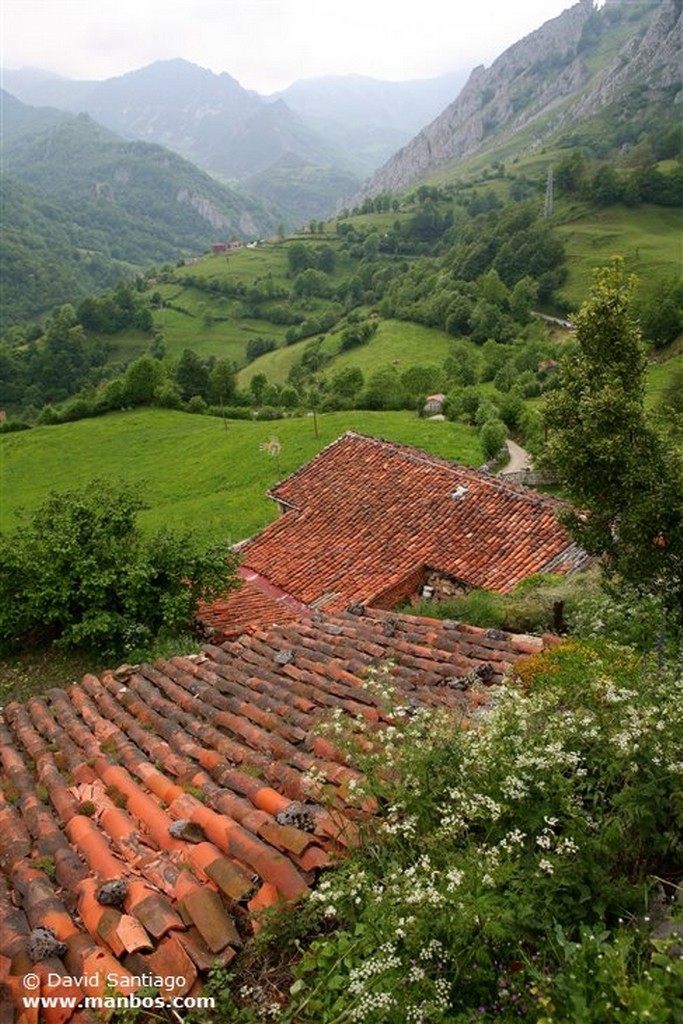 Las Negras
Las Negras - valle del Huerna - asturias
Asturias
