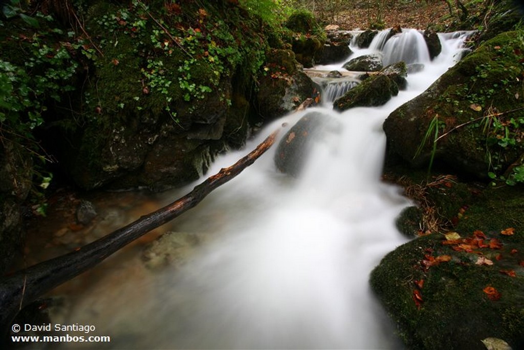 Rio Huerna
Rio Huerna A su Paso Por Tuiza de Arriba - asturias
Asturias