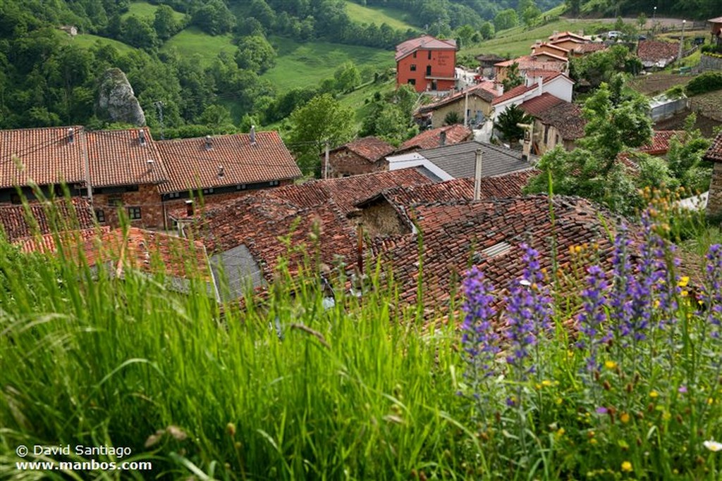 Riopaso
Riospaso - valle del Huerna - asturias
Asturias