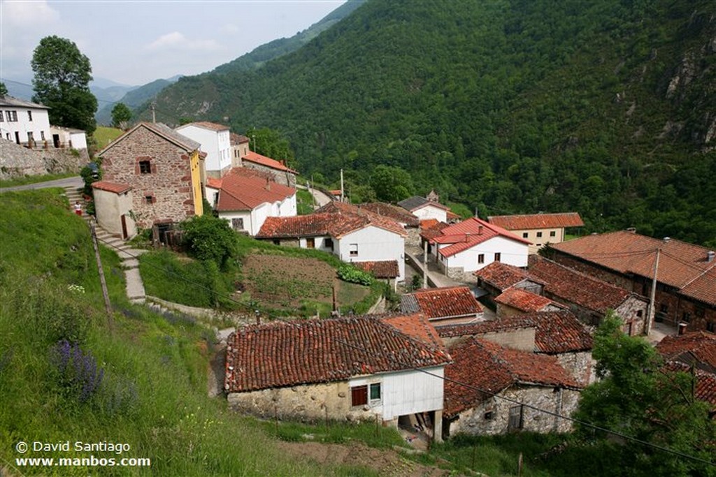 Riopaso
Riospaso - valle del Huerna - asturias
Asturias