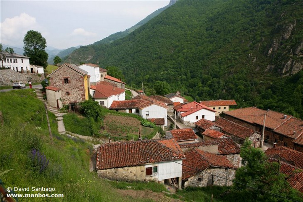 Riopaso
Riospaso - valle del Huerna - asturias
Asturias