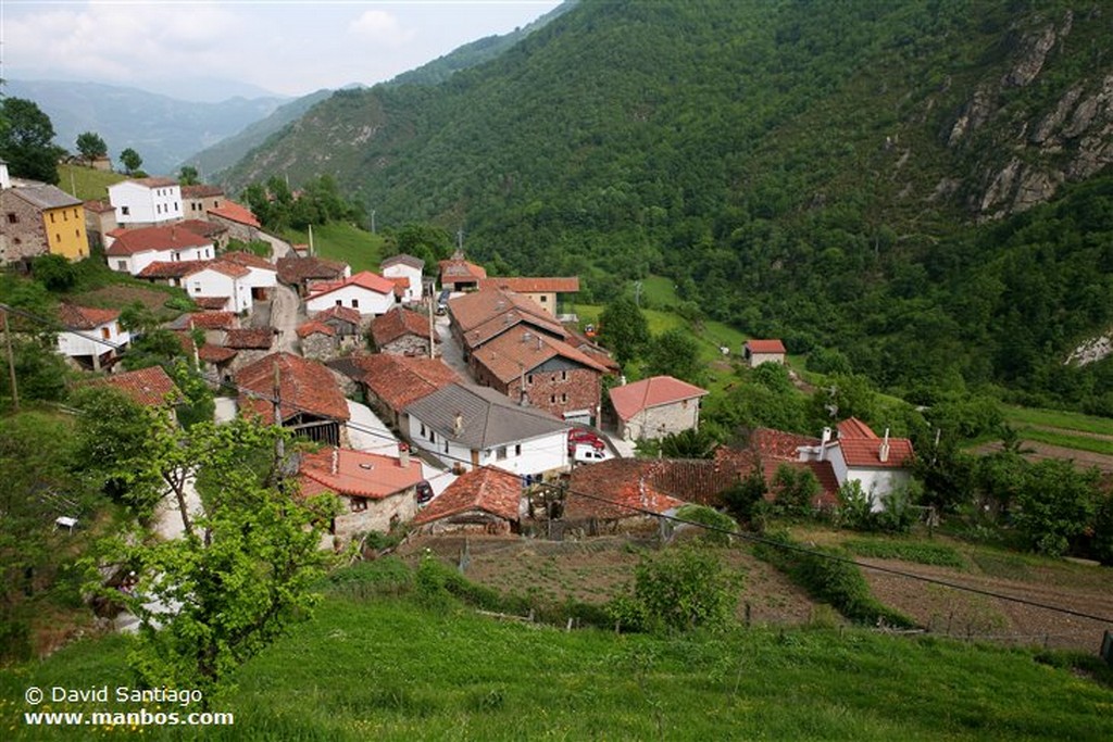 Riopaso
Riospaso - valle del Huerna - asturias
Asturias