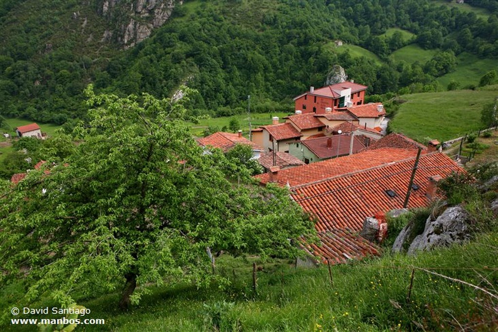 Riopaso
Riospaso - valle del Huerna - asturias
Asturias