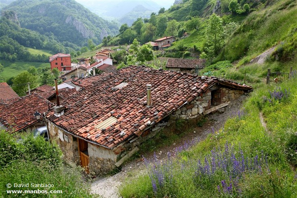 Riopaso
Riospaso - valle del Huerna - asturias
Asturias