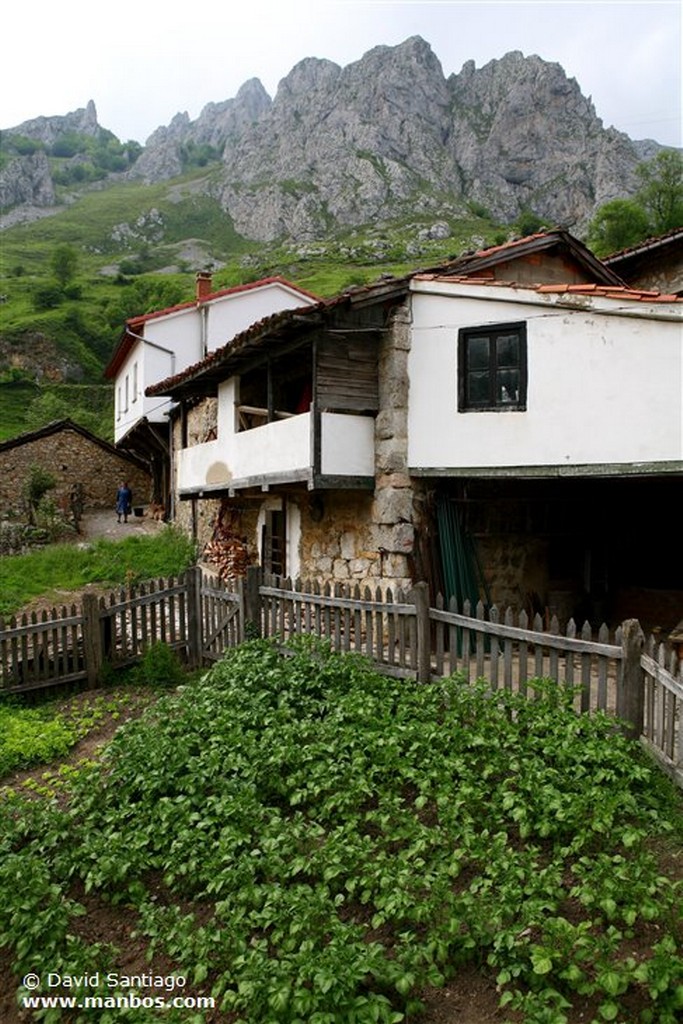 Riopaso
Riospaso - valle del Huerna - asturias
Asturias