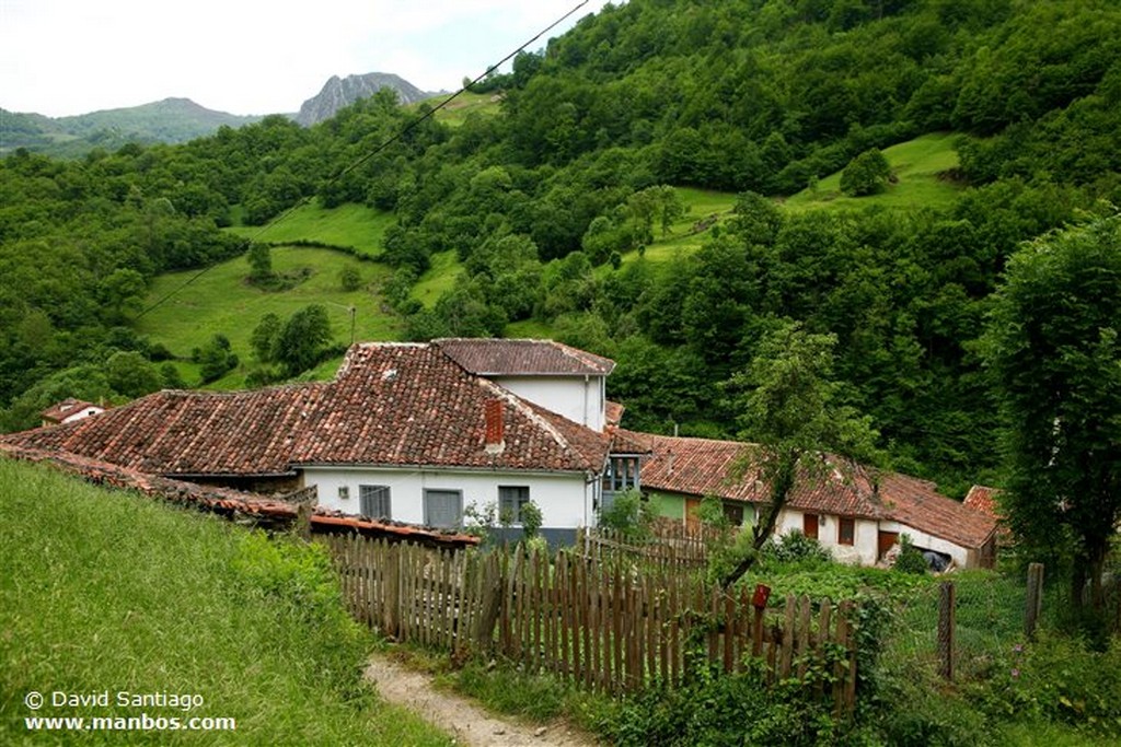 Riopaso
Riospaso - valle del Huerna - asturias
Asturias